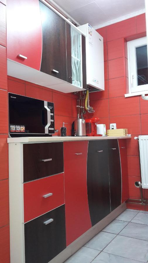 Florin Apartament Sighişoara Buitenkant foto