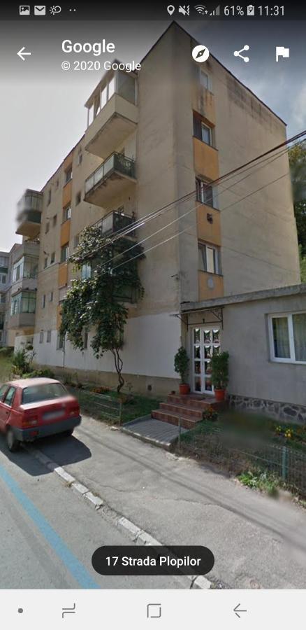 Florin Apartament Sighişoara Buitenkant foto
