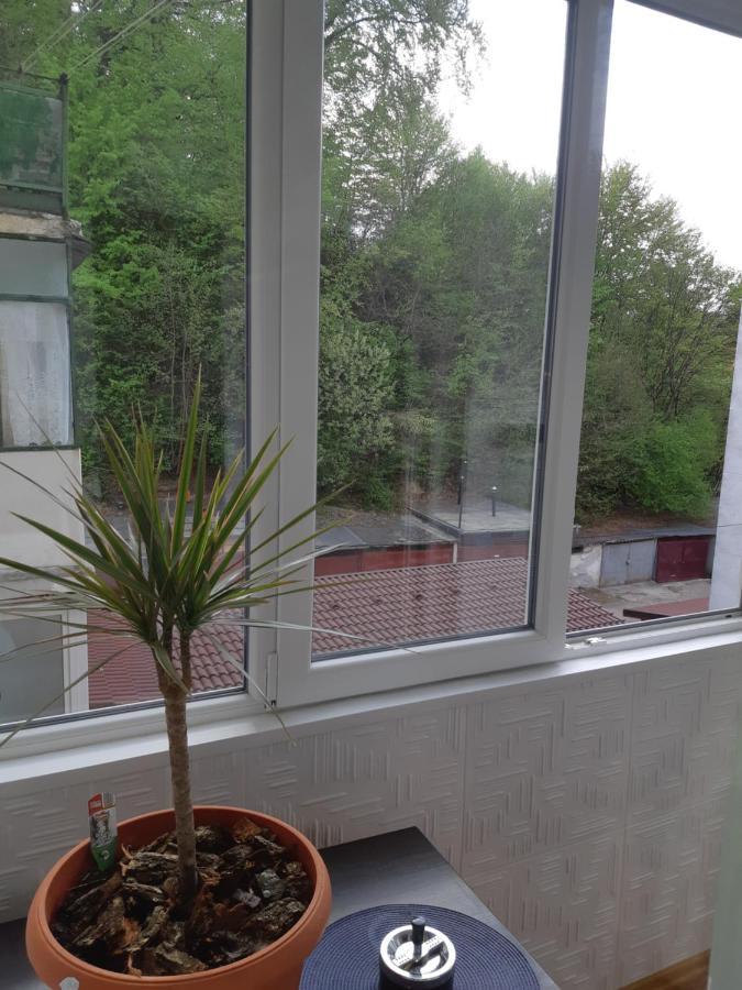 Florin Apartament Sighişoara Buitenkant foto
