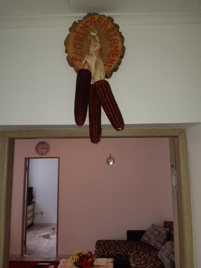Florin Apartament Sighişoara Buitenkant foto