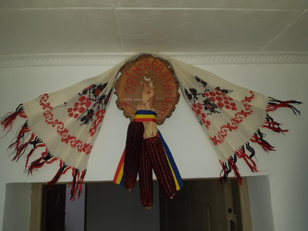 Florin Apartament Sighişoara Buitenkant foto