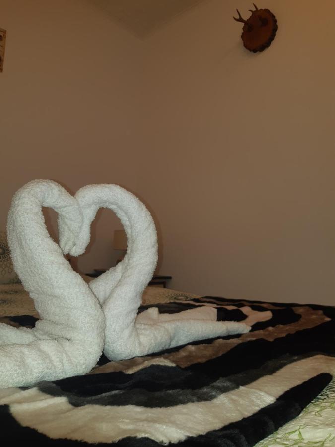 Florin Apartament Sighişoara Buitenkant foto