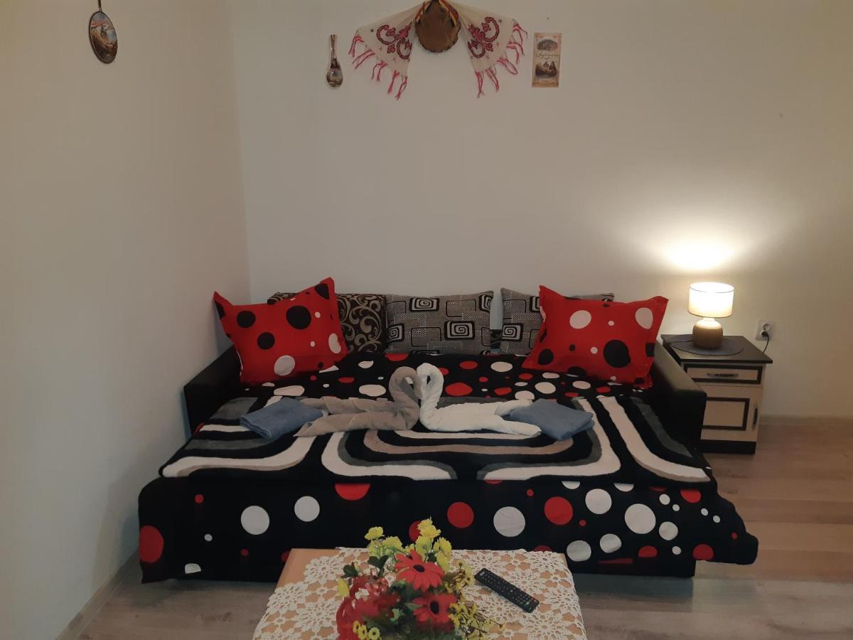 Florin Apartament Sighişoara Buitenkant foto