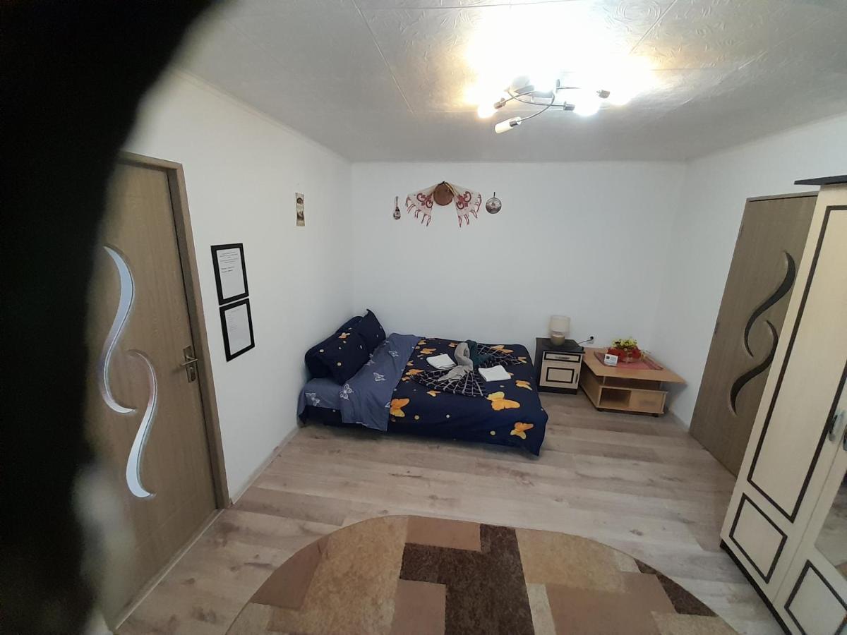Florin Apartament Sighişoara Buitenkant foto